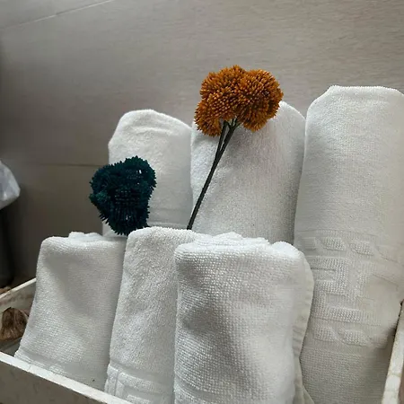 Remona Guest house