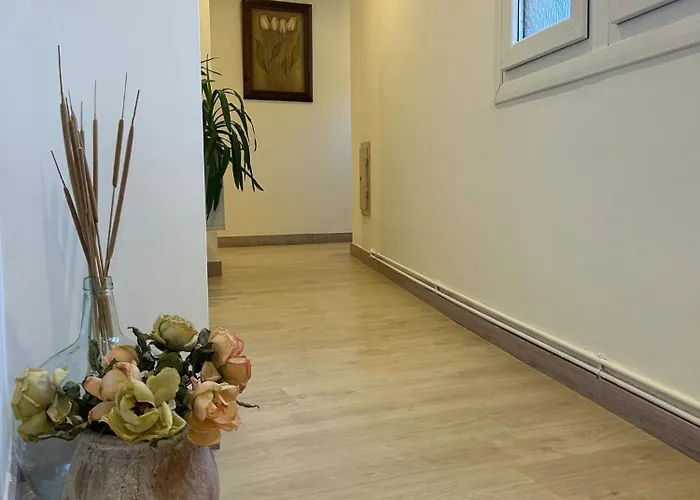 Remona Guest house 3*